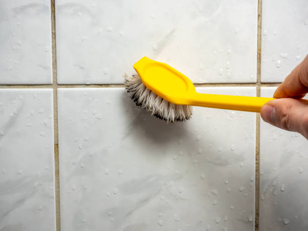 Trusted Gillett, WI Mold Removal Experts