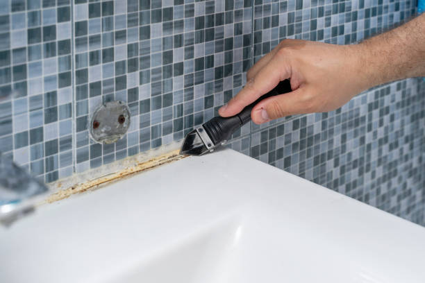 Best Mold Testing and Removal  in Gillett, WI