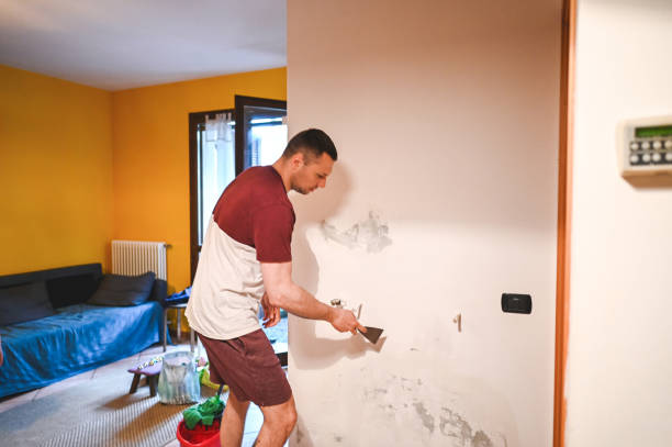 Best Mold Damage Repair  in Gillett, WI